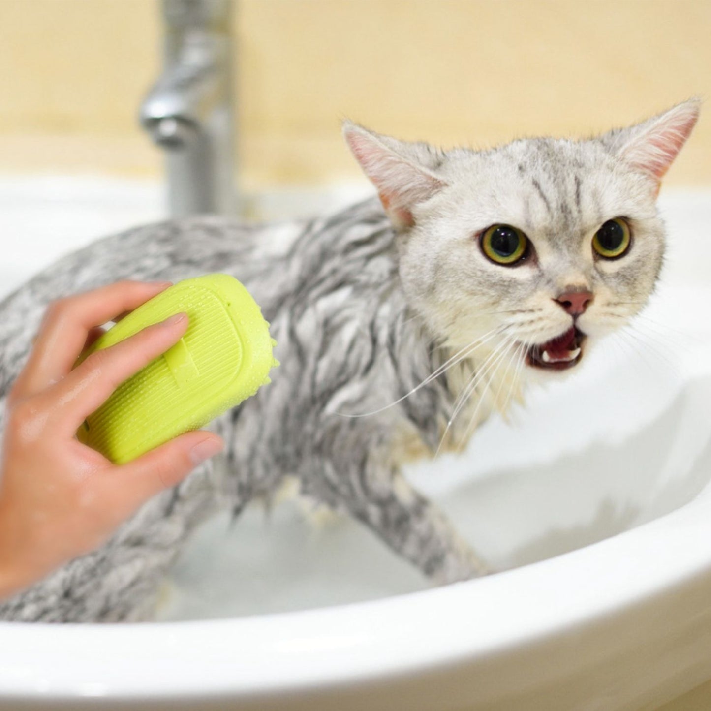Person using green silicone brush to lather and scrub a wet cat in a bathtub