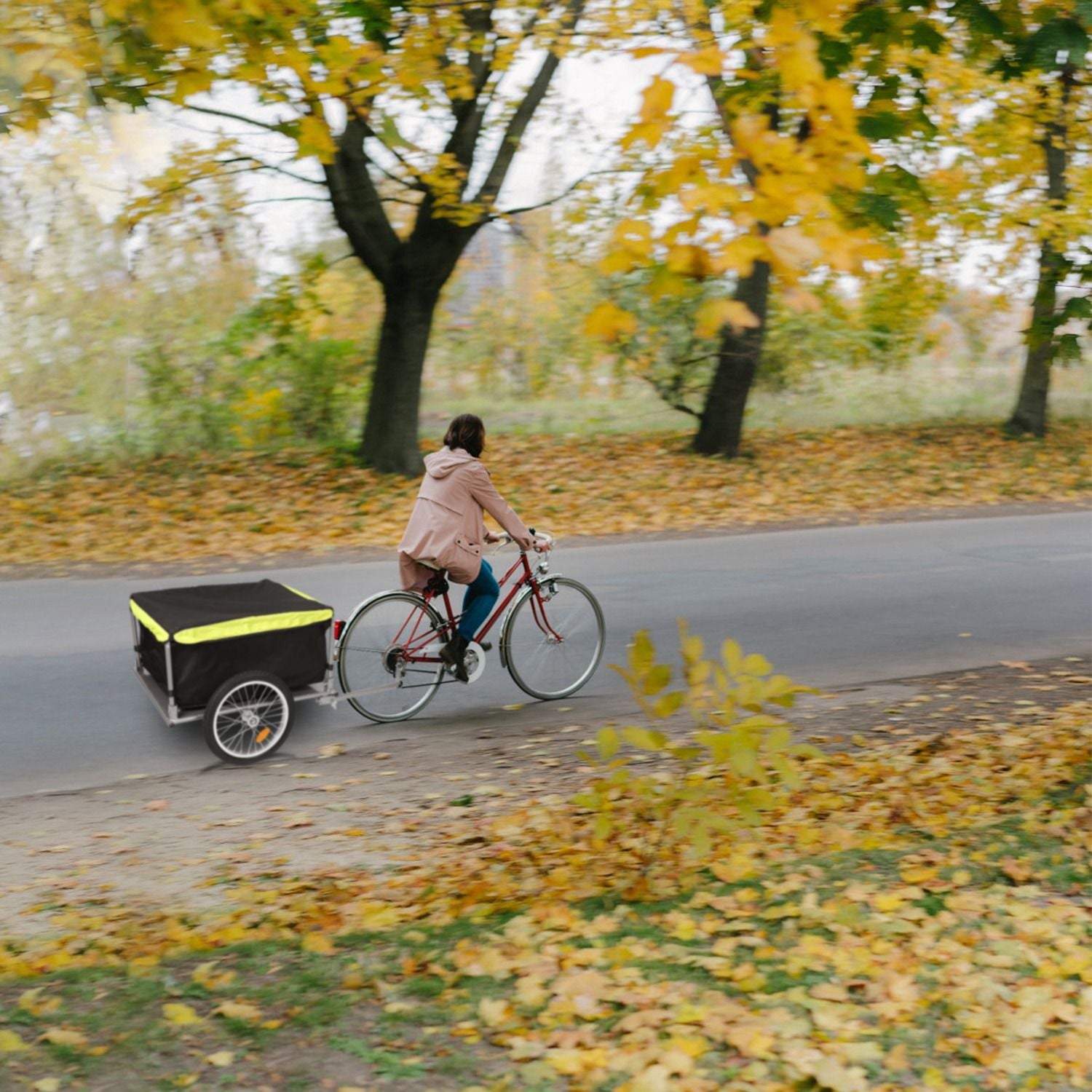Cyclist towing cargo trailer down a tree-lined road with autumn leaves