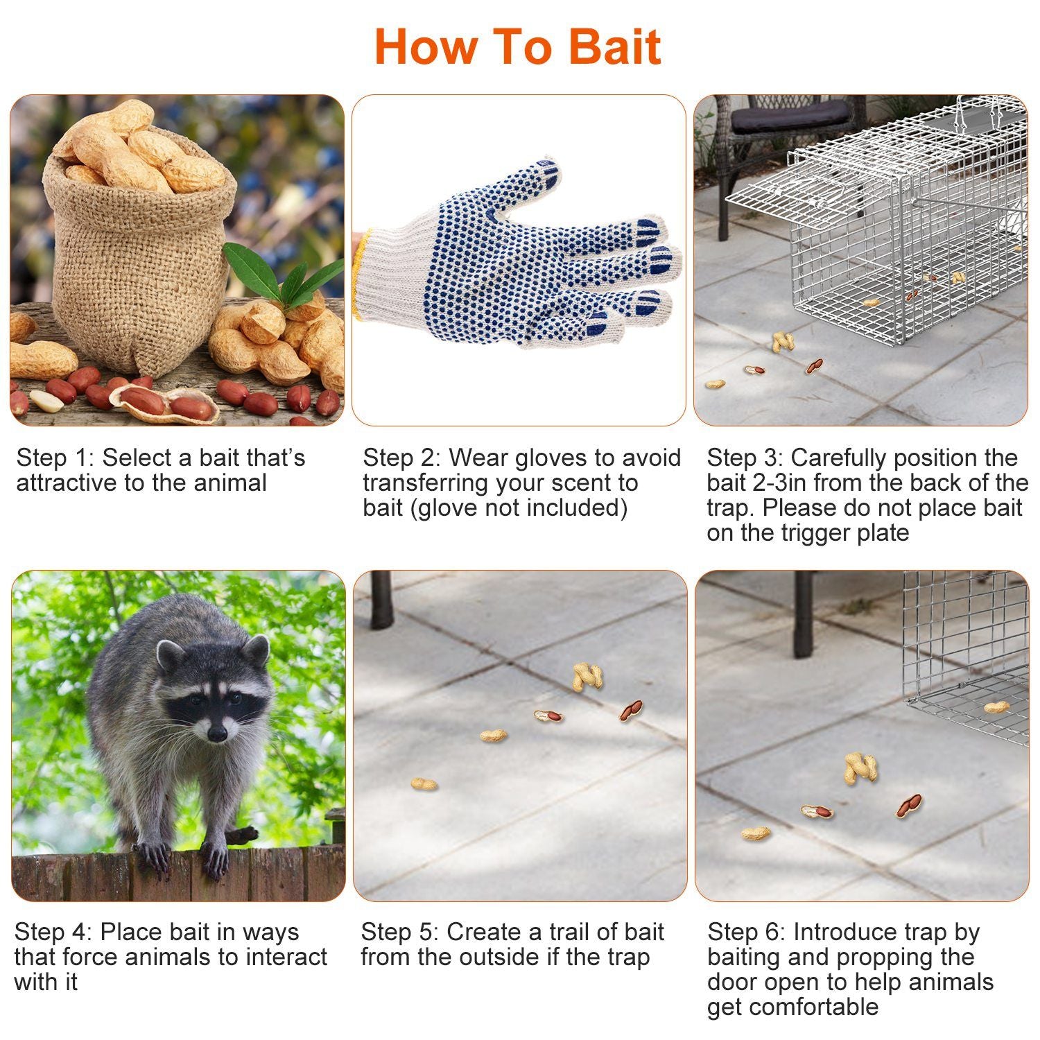 Baiting guide with steps to select bait wear gloves create a bait trail and position food near the trap