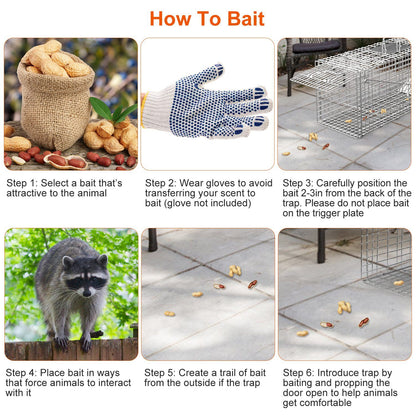 Baiting guide with steps to select bait wear gloves create a bait trail and position food near the trap