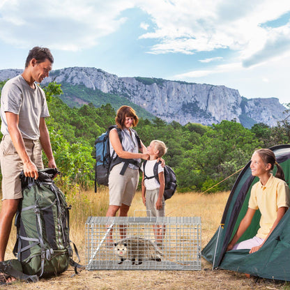 Campground scene showing galvanized live trap containing a raccoon beside a tent and camping gear