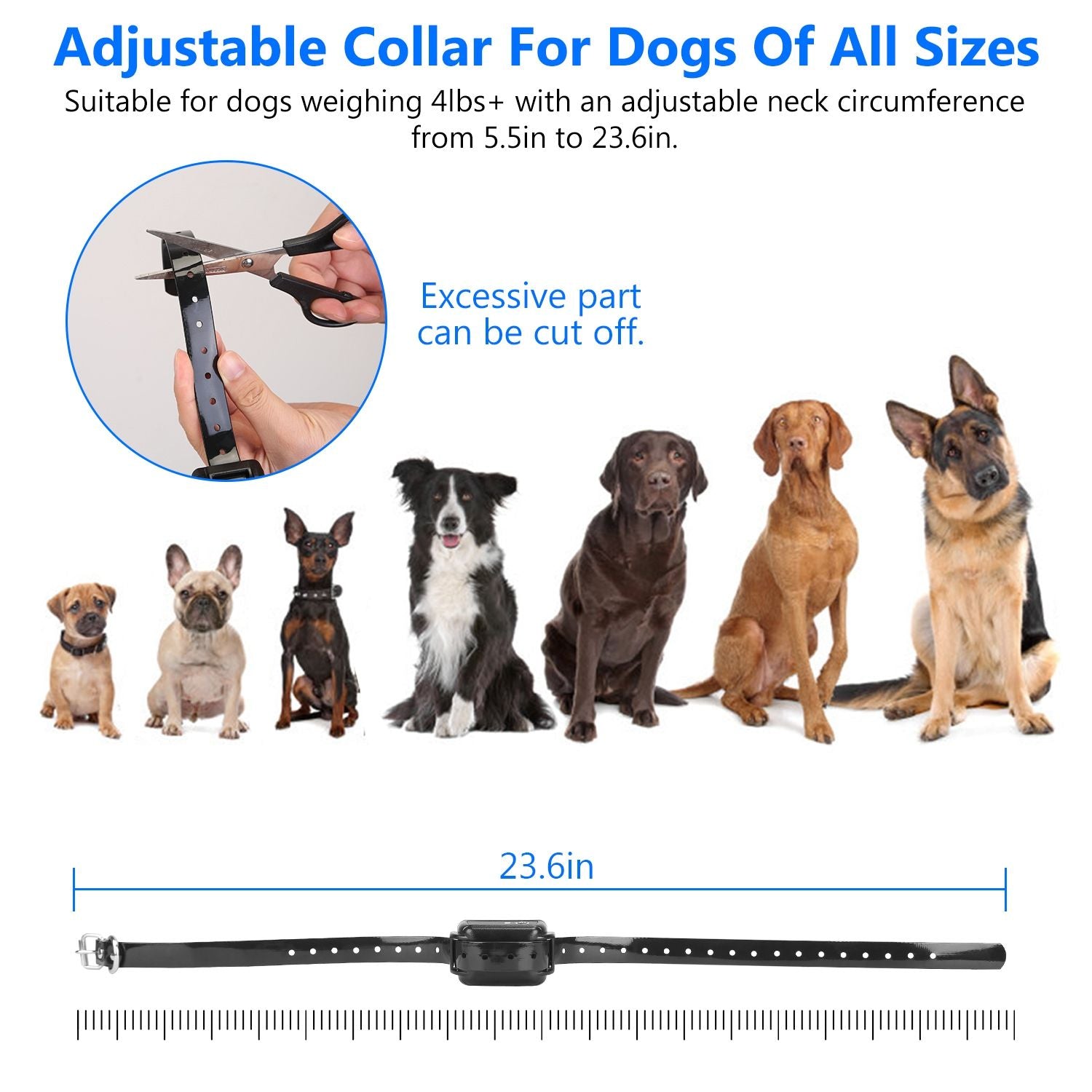 Adjustable collar strap with scale to 23.6 inches and lineup of dog breeds to show sizing