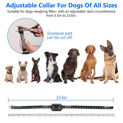 Adjustable collar strap with scale to 23.6 inches and lineup of dog breeds to show sizing