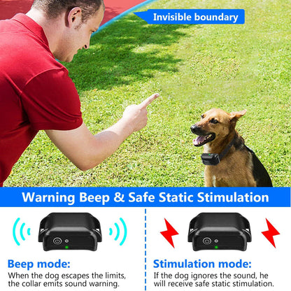 Owner demonstrating training with a dog showing warning beep then stimulation mode