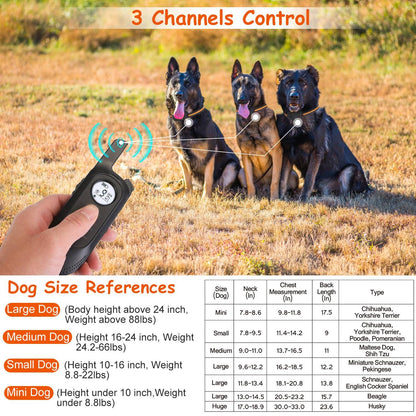 Hand-held transmitter pointing at three seated dogs to illustrate three-channel control for training multiple dogs.