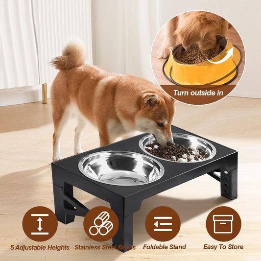 Black elevated double dog feeder with two stainless steel bowls on low setting