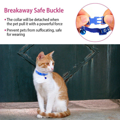 Close-up of breakaway buckle and cat wearing a blue paw-print collar showing safety release