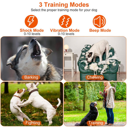 collage illustrating barking, chewing, fighting and obedience training use cases