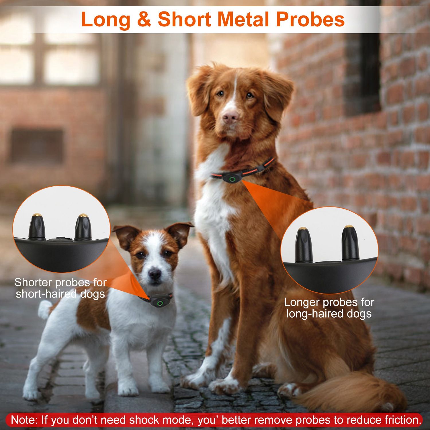 collar receiver contact probes in long and short versions for long or short-haired dogs