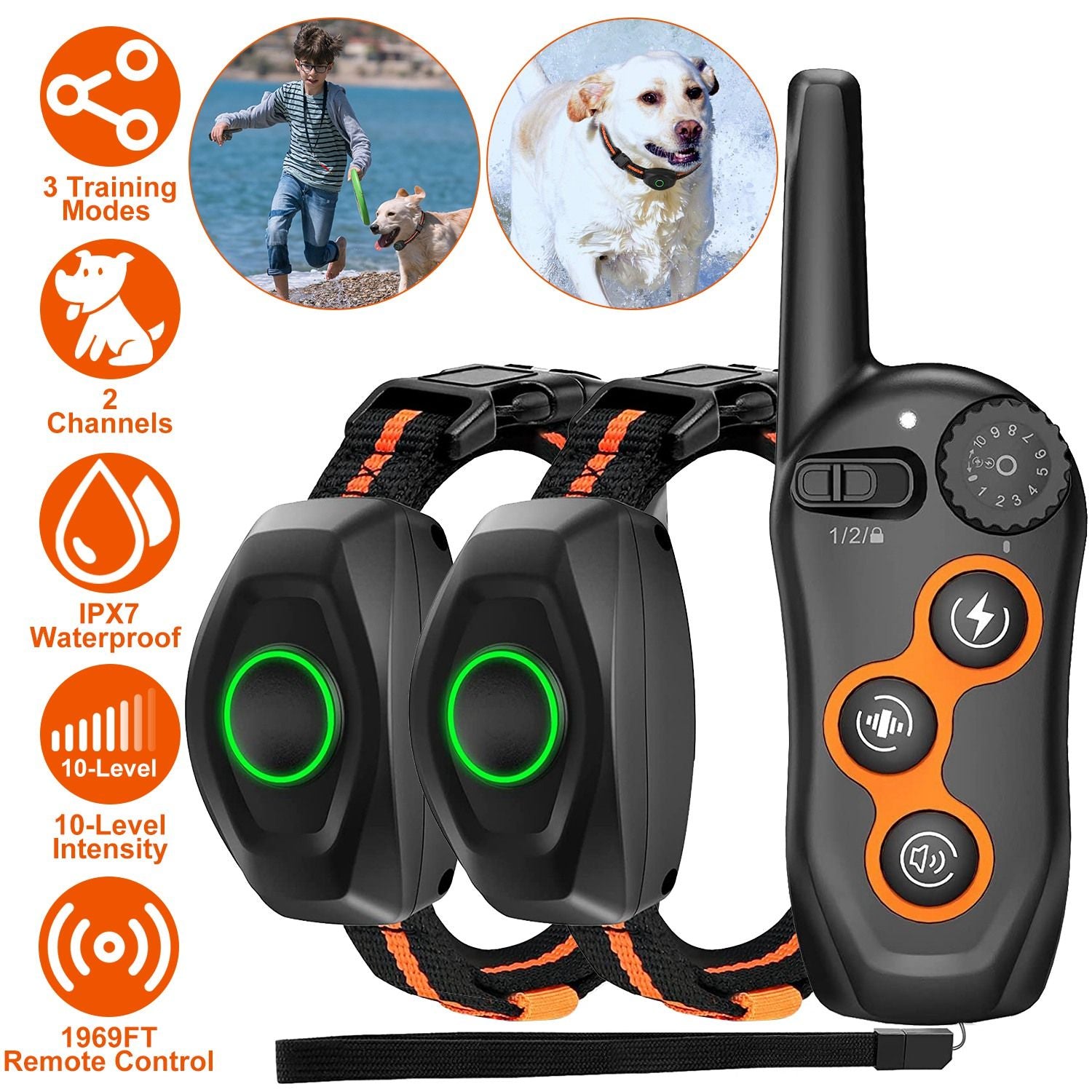Remote transmitter with two black receiver collars featuring green LED rings and orange-accent straps