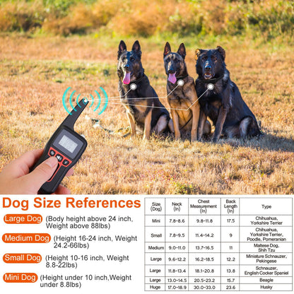 Three dogs with remote signals and a chart of neck and chest measurements for dog size reference and fit guidance