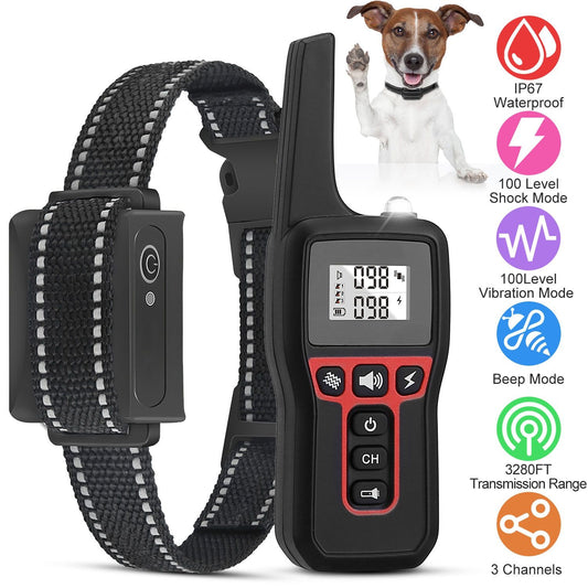Remote transmitter with LCD and buttons next to adjustable nylon collar and receiver with reflective strap