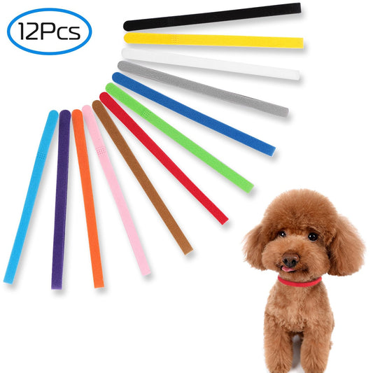 Set of 12 thin colorful adjustable fabric puppy ID collars with a model dog wearing a red band