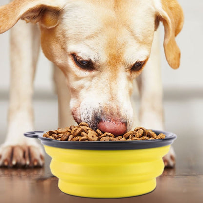 Dog eating kibble from a yellow collapsible silicone bowl on a floor