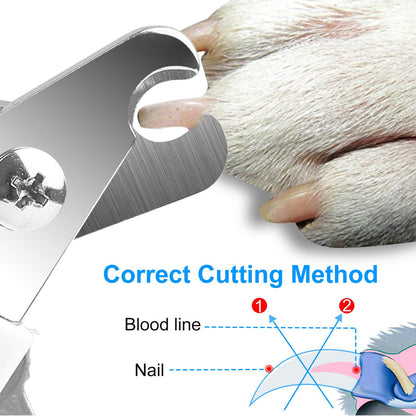 Diagram and close-up showing correct nail cutting method and blood line guidance