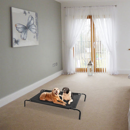 Two dogs lying together on a black elevated pet bed in a bright living room