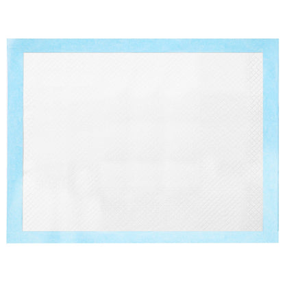 Top view of training pad showing quilted absorbent surface and blue waterproof border