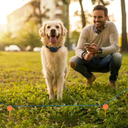 Dog wearing receiver collar with visible training flags and owner nearby in a park setting