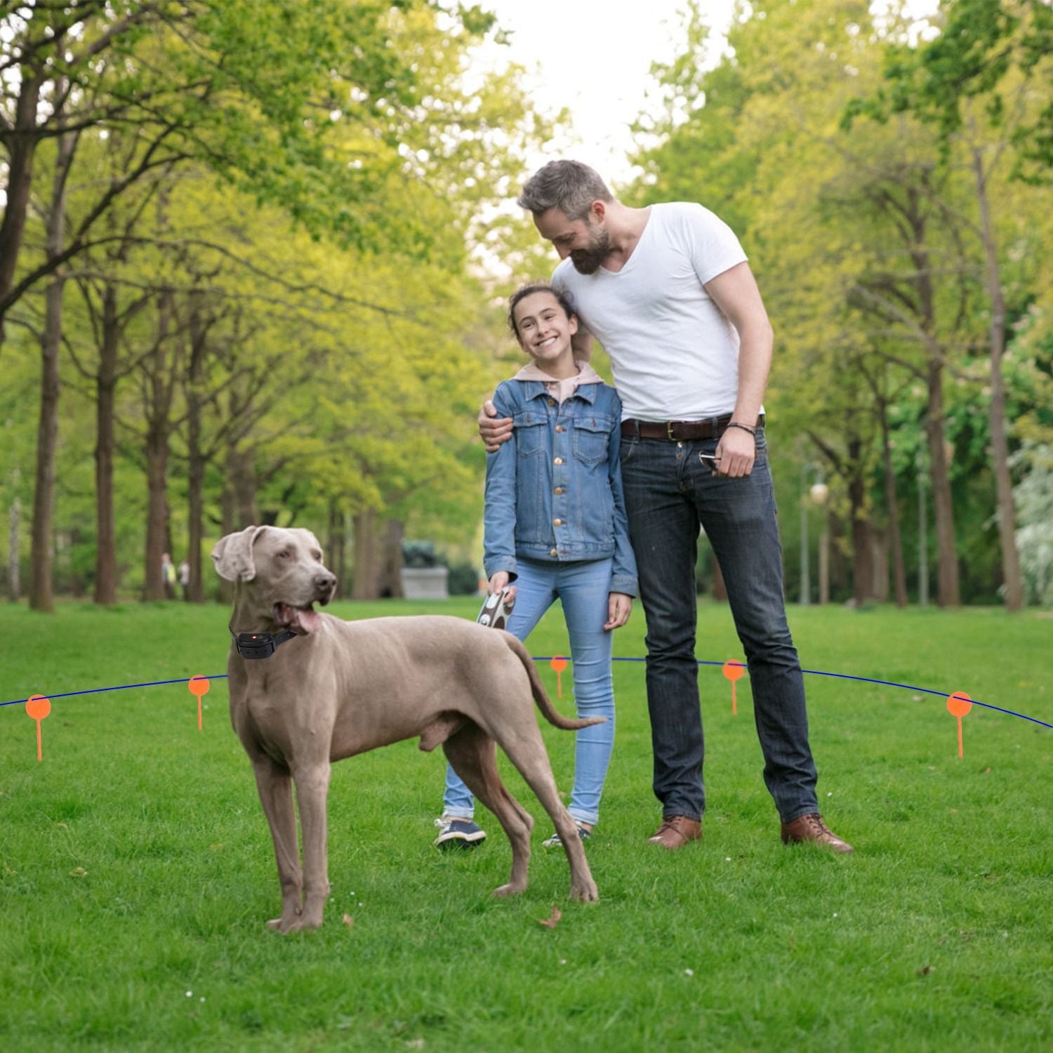 Family walking a dog inside an in-ground boundary wire with stakes, demonstrating an enclosed training area