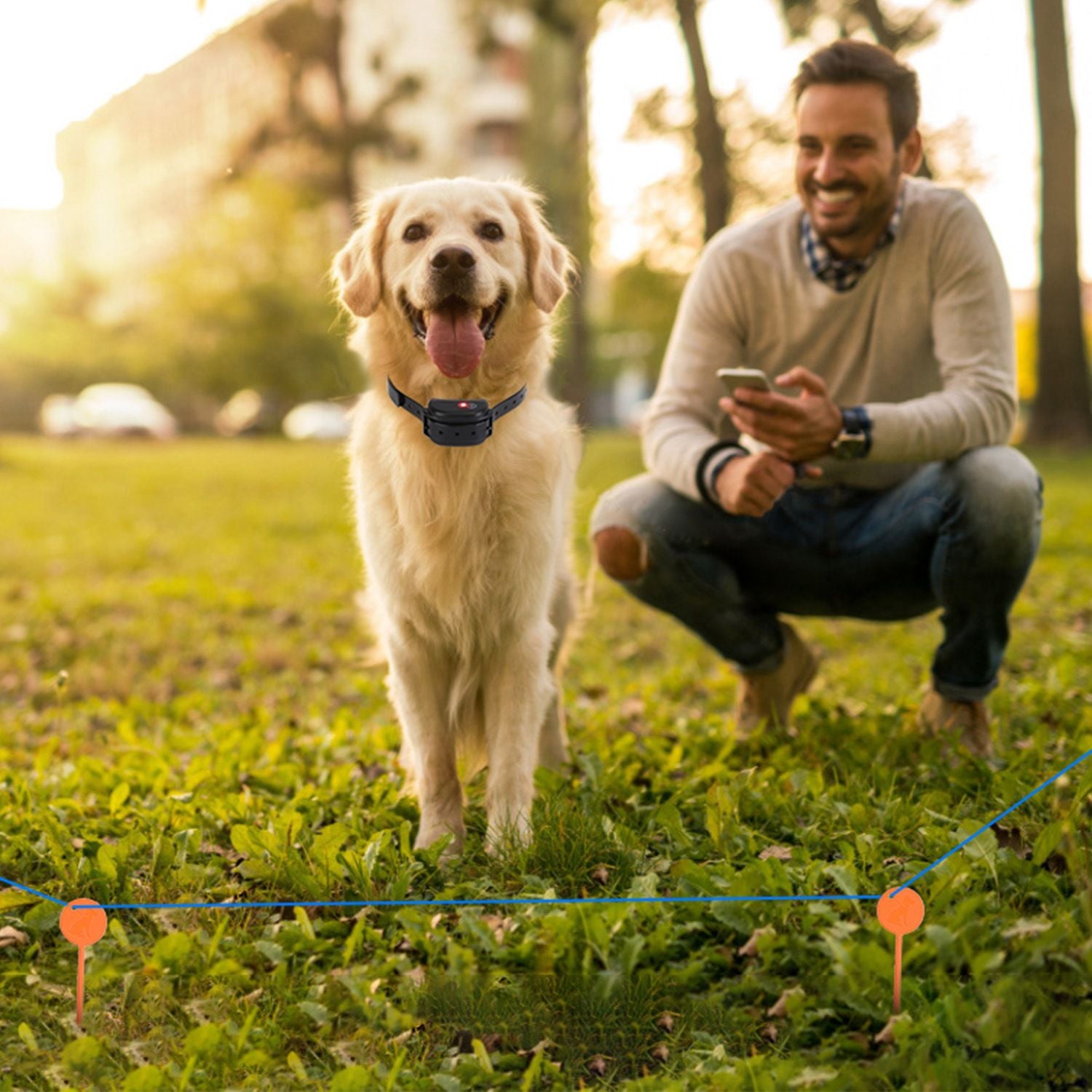 Dog wearing receiver collar near owner with visible training flags marking the underground boundary