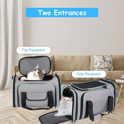 Two-entrance carrier showing top and side openings with a cat in each placement