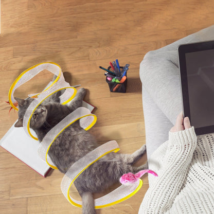 Overhead view of a cat partially inside a spiral mesh tunnel on the floor next to a person with a tablet