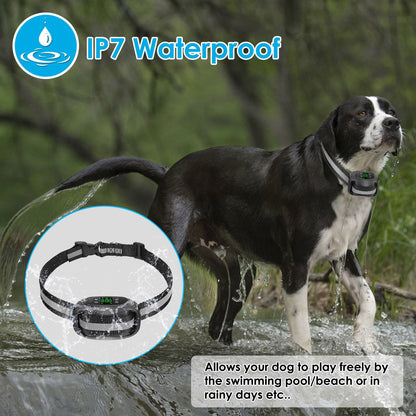 Dog wearing waterproof GPS collar splashing through shallow water, IPX7 rated for wet conditions
