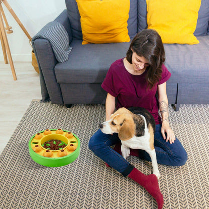 Person seated on floor with beagle next to a green puzzle feeder on a rug