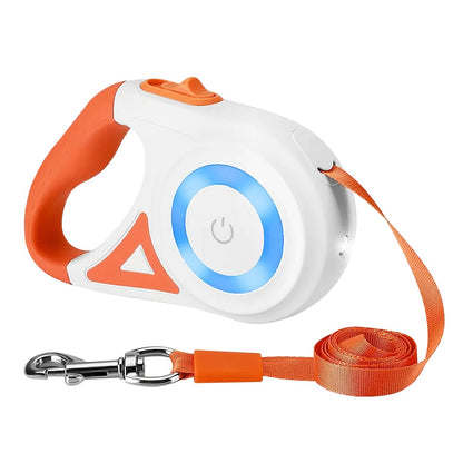 two people walking a dog at night with flashlight beam from retractable leash illuminating pavement