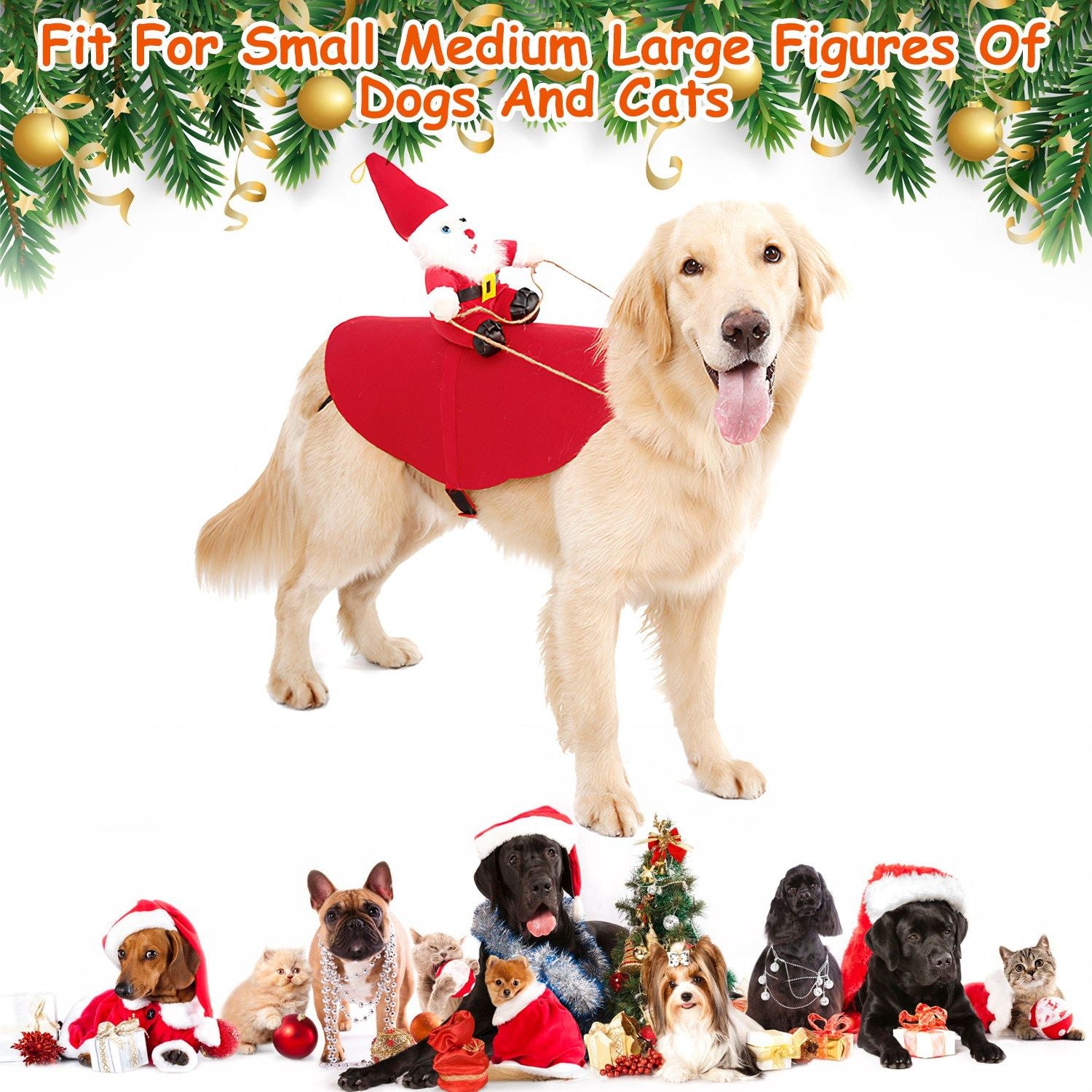 home holiday scene of dog wearing saddle costume during gift moment