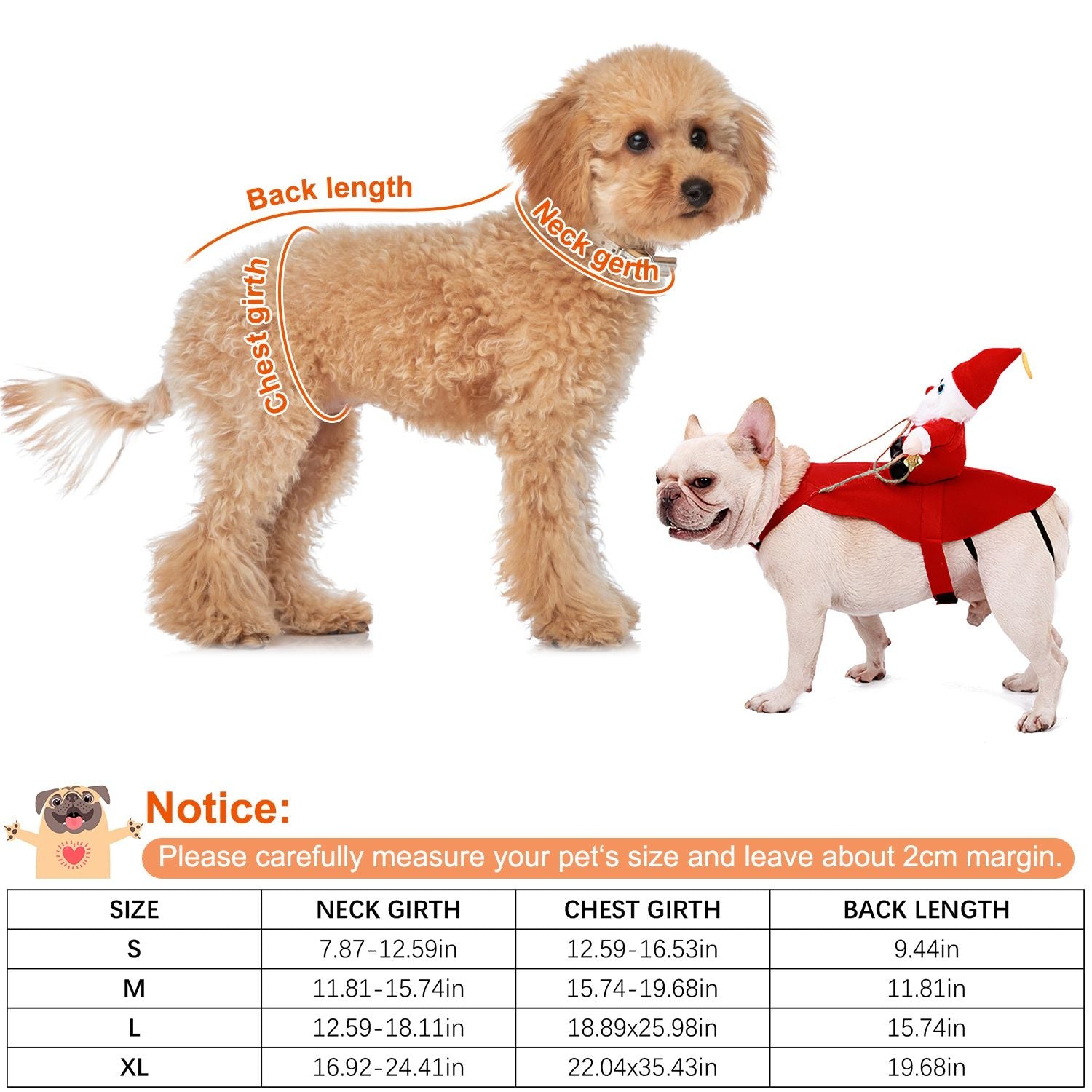 golden dog wearing red Santa saddle shown with decorative greenery