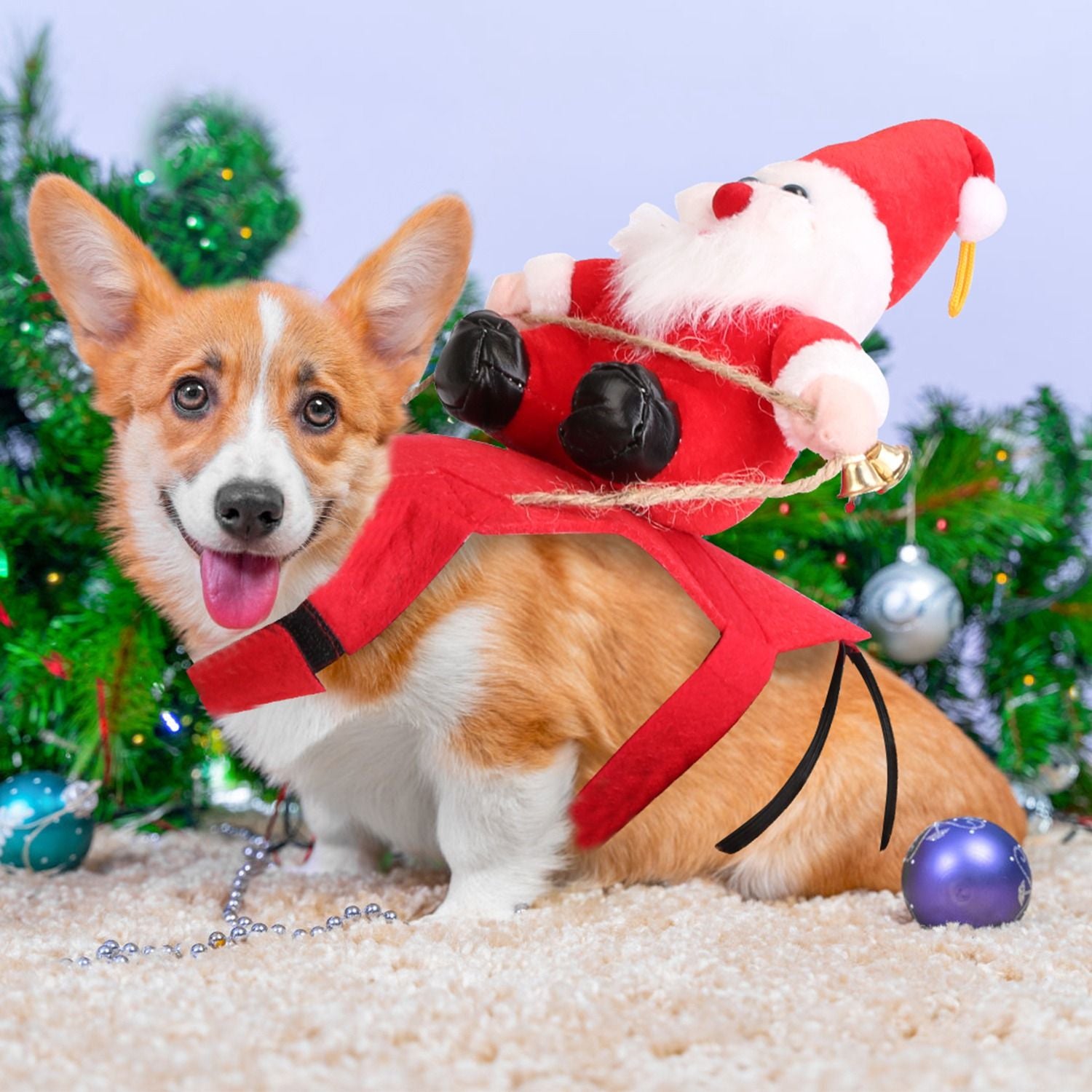 cat in red felt riding Santa saddle with adjustable straps