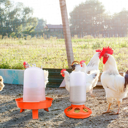 Chicken run with feeders and waterers placed on ground as chickens roam nearby