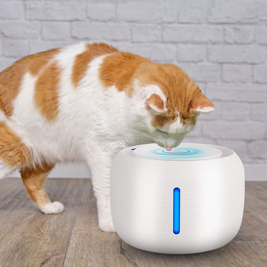 White ribbed pet water fountain with blue LED and cat drinking from top water stream