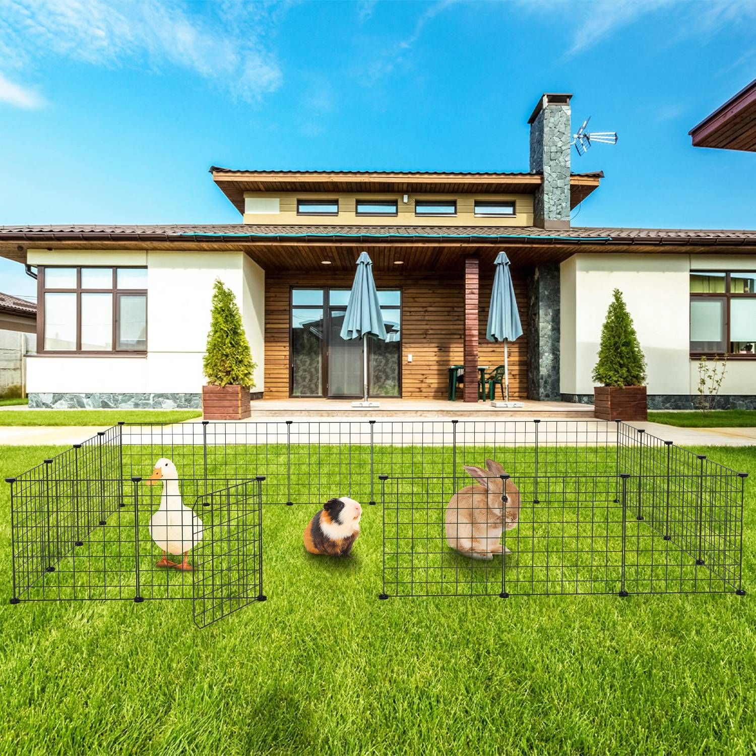 Outdoor lawn setup of modular playpen sections containing small animals like rabbit and guinea pig