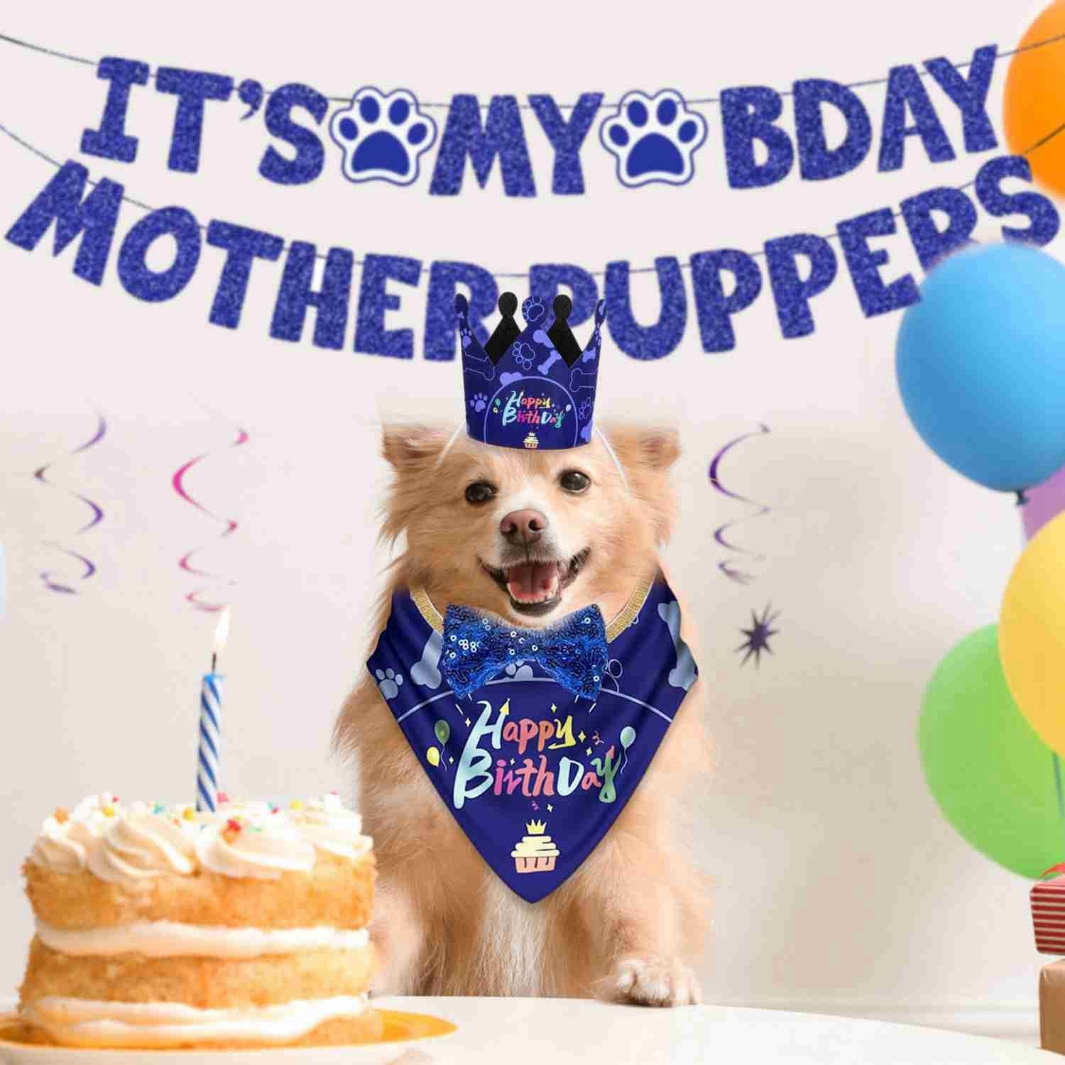 Golden dog wearing blue birthday bandana and crown with cake and festive banner in background