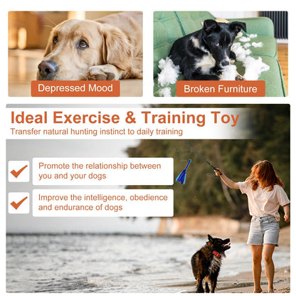 Promotional graphic showing flirt pole use on a beach with text about exercise, training and improved obedience