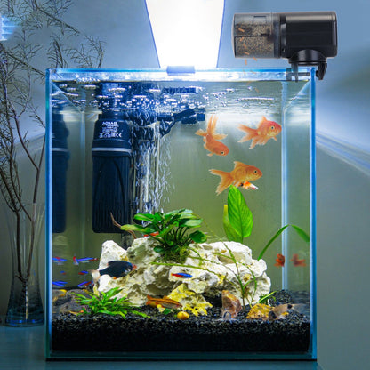 Feeder mounted on illuminated aquarium rim dispensing pellets into water with fish nearby