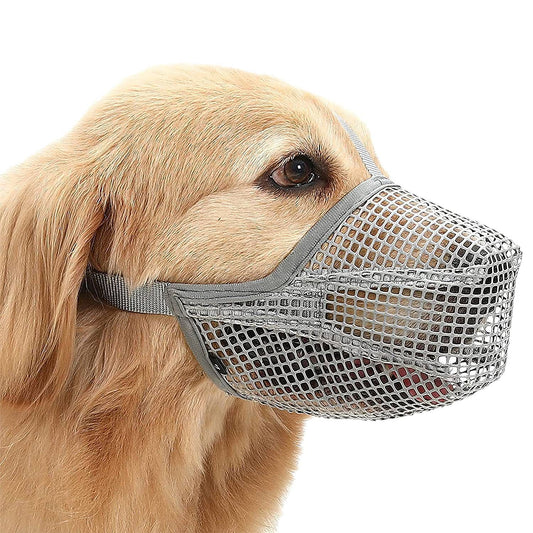 Golden retriever wearing grey breathable mesh dog muzzle with adjustable straps