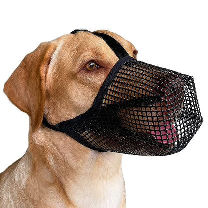 Yellow labrador wearing black mesh muzzle with forehead and neck straps