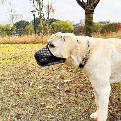 Light-colored labrador outside wearing black mesh muzzle and adjustable straps