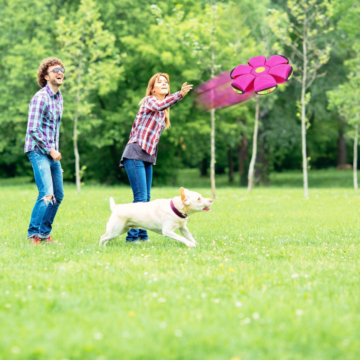 Person throwing pink flying saucer as dog chases it across a grassy field