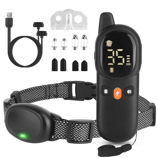 Flat lay of remote transmitter, receiver collar, magnetic USB cable, silicone caps and test bulb