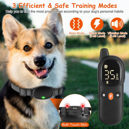 Receiver collar worn by dog with remote transmitter showing training mode and level