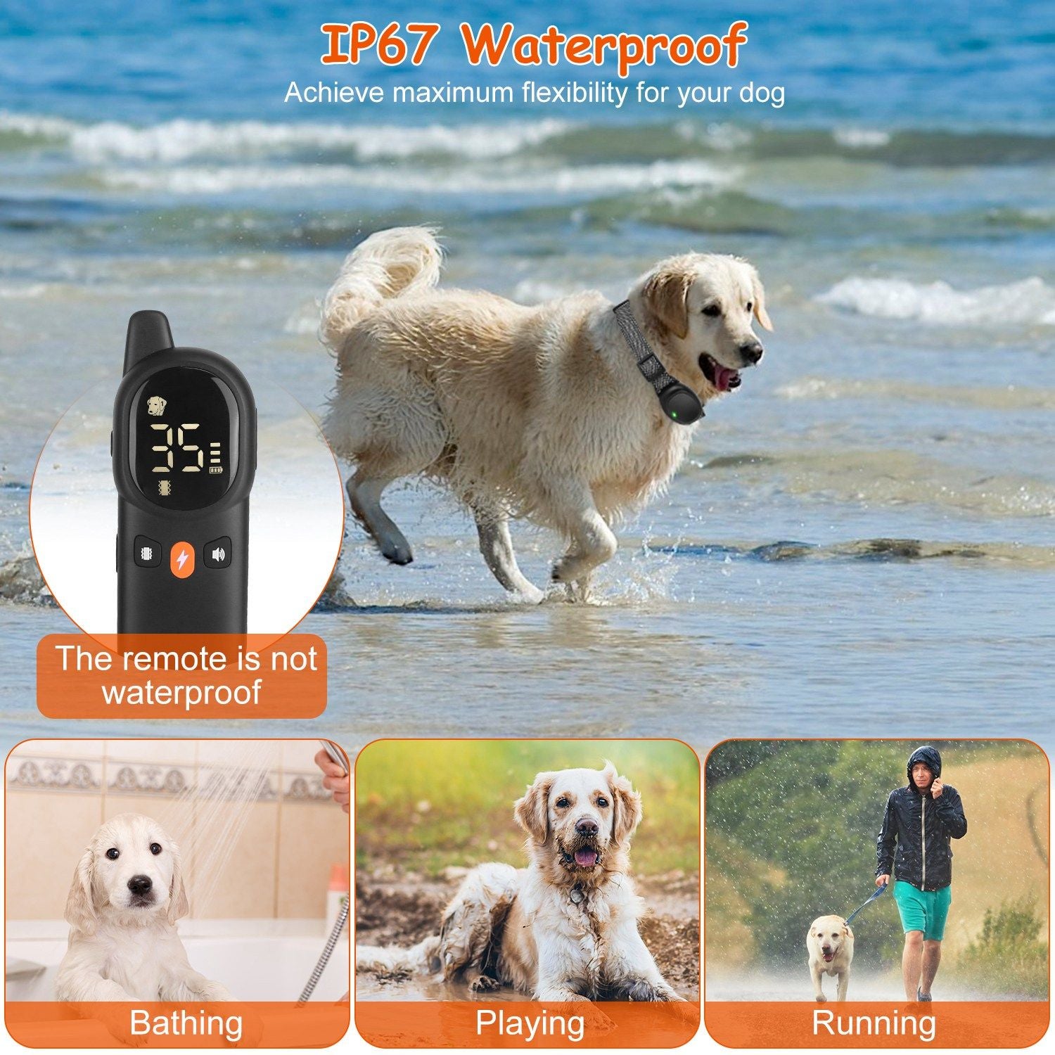 Dog on beach wearing waterproof receiver collar with closeups of collar LED and contact points