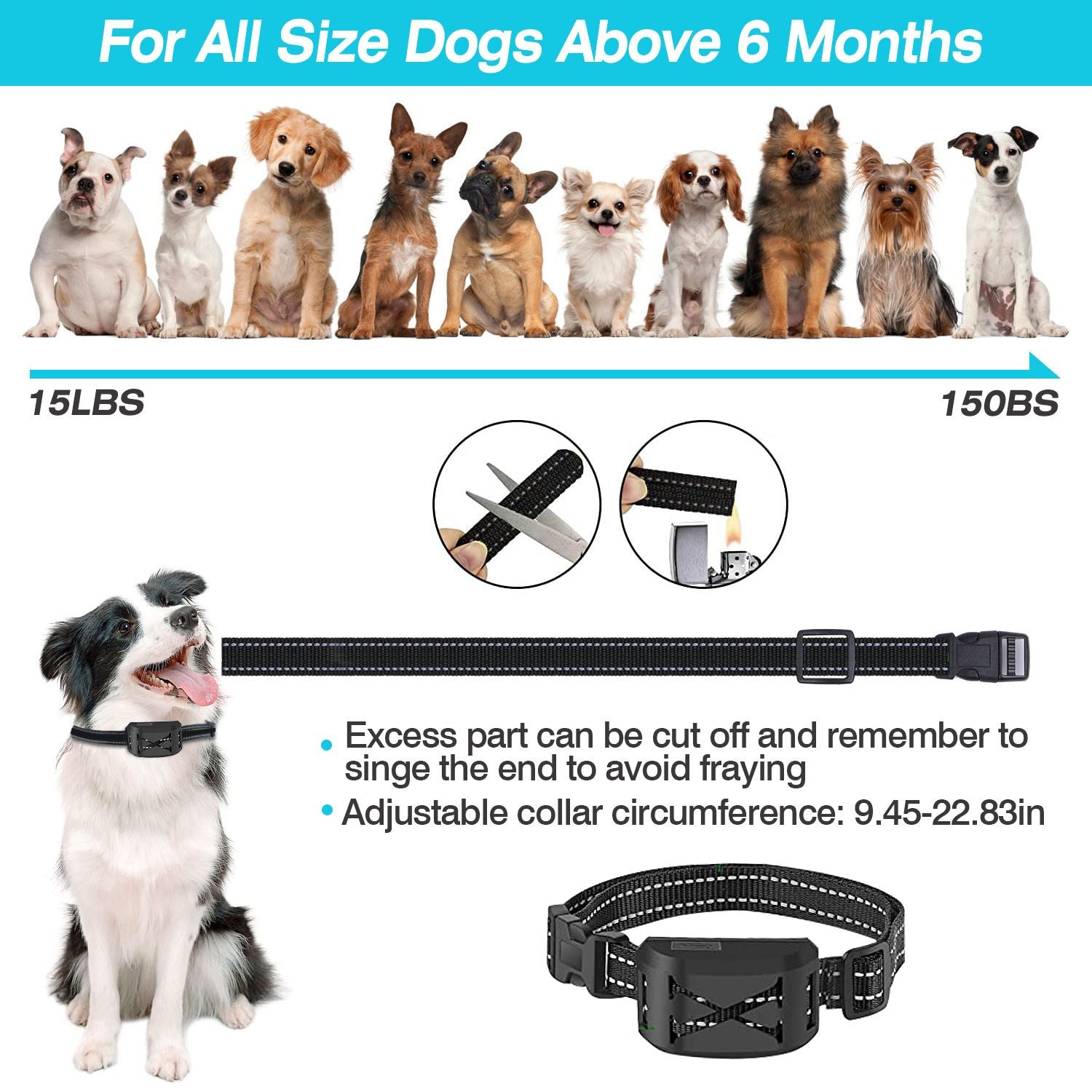 collar size guide showing various dog breeds adjustable strap and instructions to trim excess