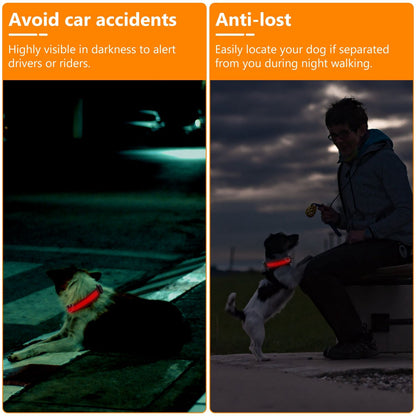 Promotional panels showing dogs with glowing collars to illustrate nighttime safety and locating pets