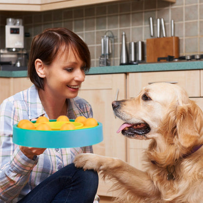 Person holding blue puzzle feeder while golden retriever reaches forward in a kitchen