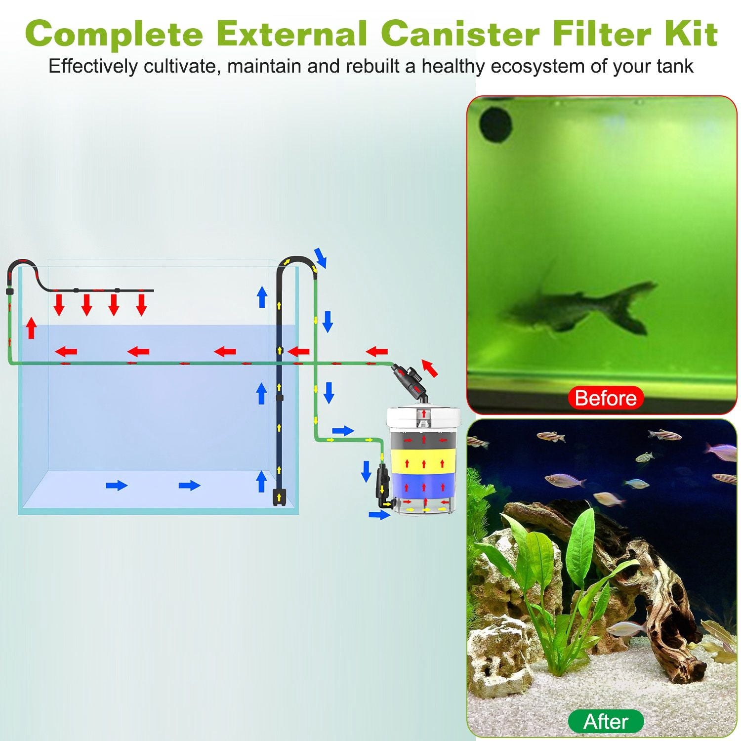 Installation diagram showing canister connected to aquarium with flow arrows and before/after photos