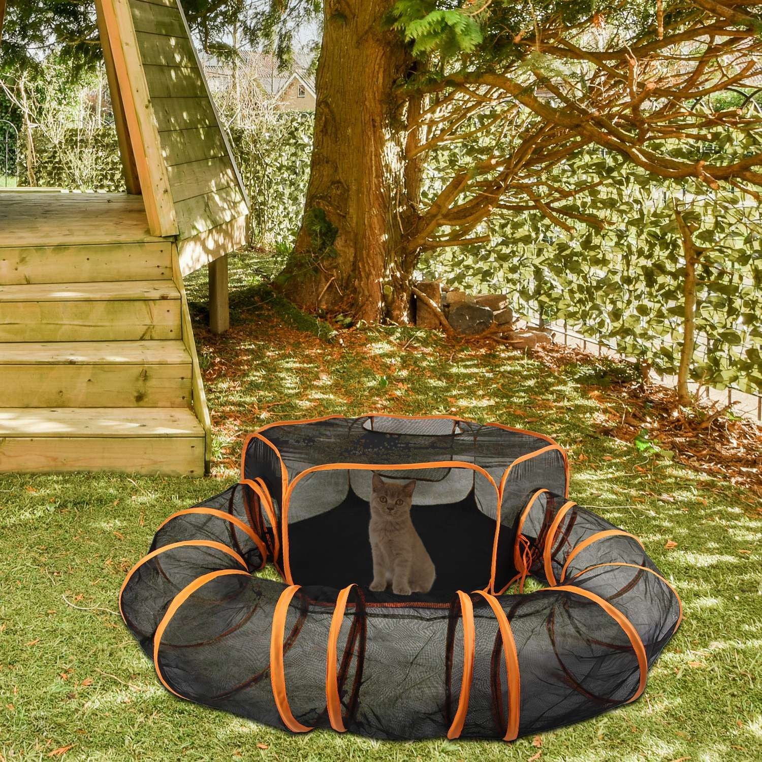 Pet tent with curved tunnel placed on grass under a tree with a small kitten visible inside